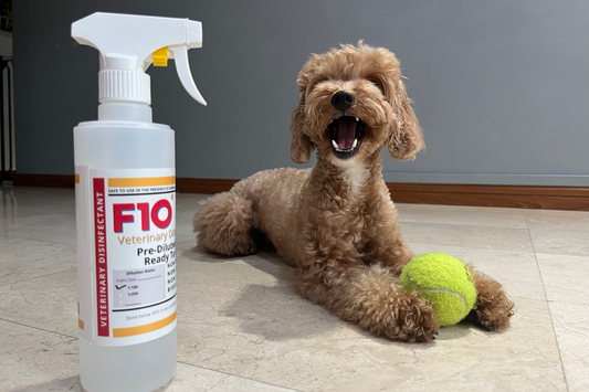 F10 SC Vet Disinfectant is not just for Vets!