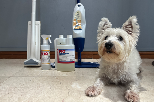 How we keep our home environment safe and clean for your pawkids