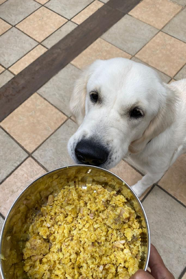 Paw Favor Meals for Dogs. How much should your pawkid eat? Depends on dog size, age and energy level. Reference meal weight by dog weight. Salty white golden retriever puppy.