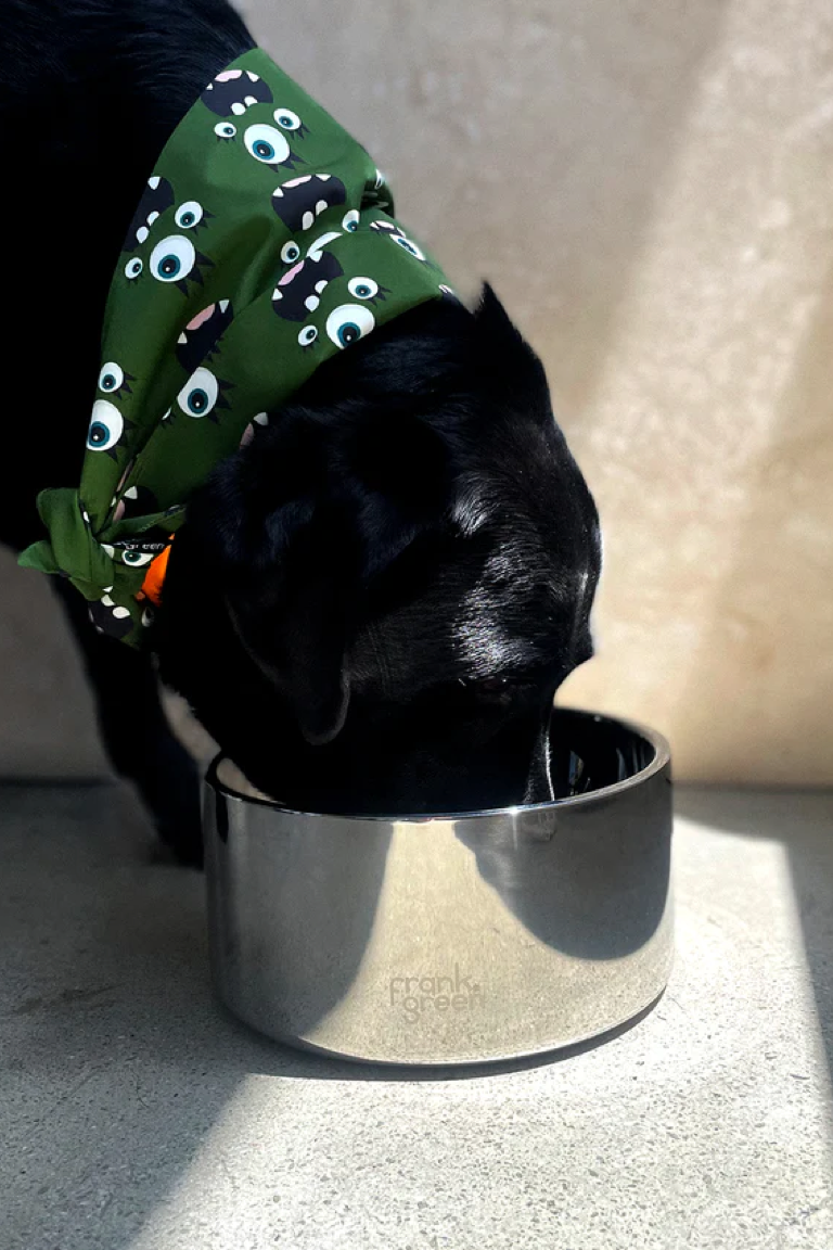 Frank Green Stainless Steel Pet Bowls