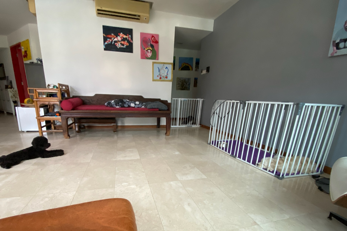 Paw Favor Boarding (Small Dogs <10kg) Paw Favor Paw Favor Services Dog Daycare & Boarding Service.