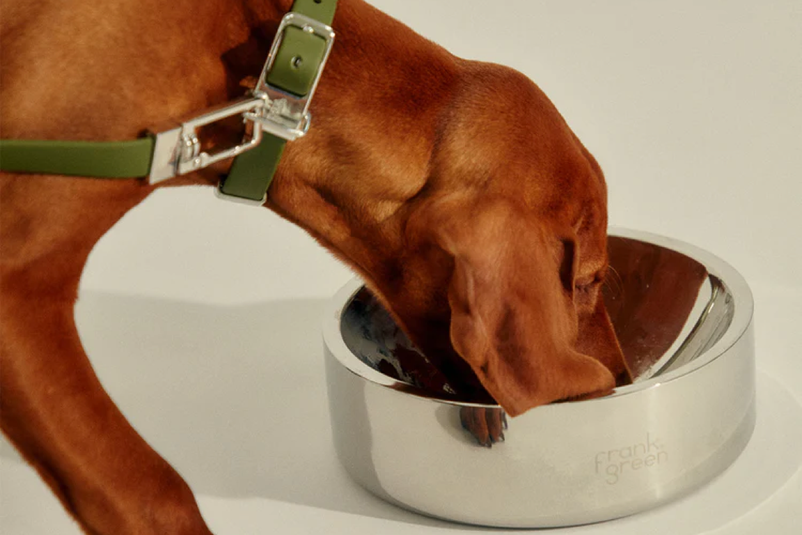 Frank Green Stainless Steel Pet Bowls
