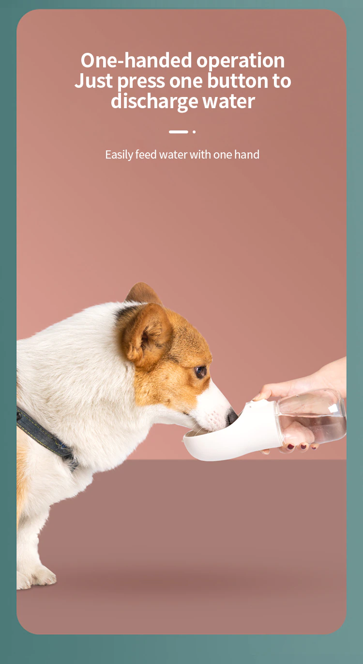 New Generation Clear Dog Travel Bottle