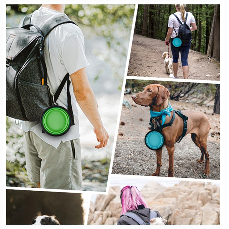 Collapsible Silicone Dog Travel Bowl, 350ml