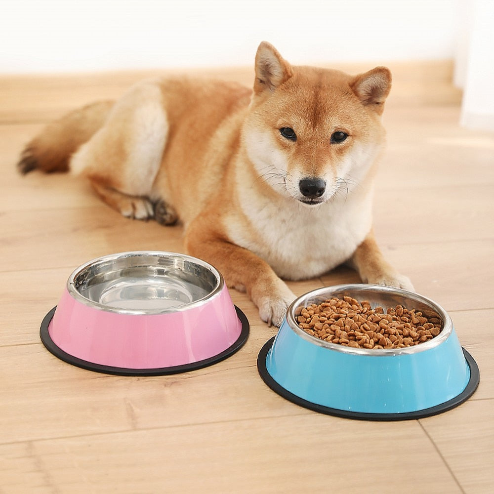 Bright and Shine Stainless Steel Dog Bowls