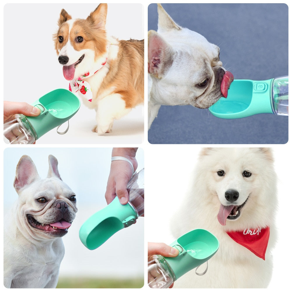 New Generation Clear Dog Travel Bottle
