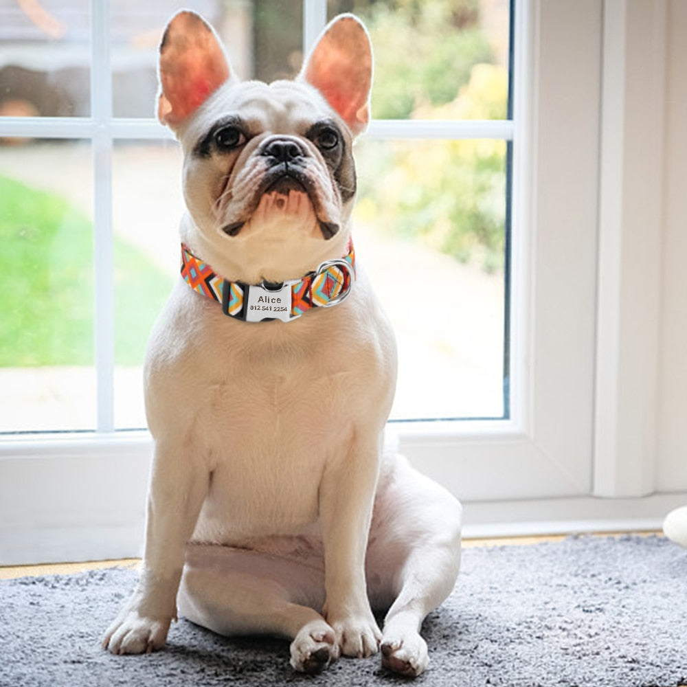 Fashion Dog Collar with free ID engraving