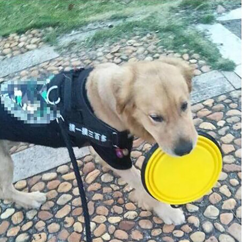 Collapsible Silicone Dog Bowl, 350ml/ 650ml/ 1000ml