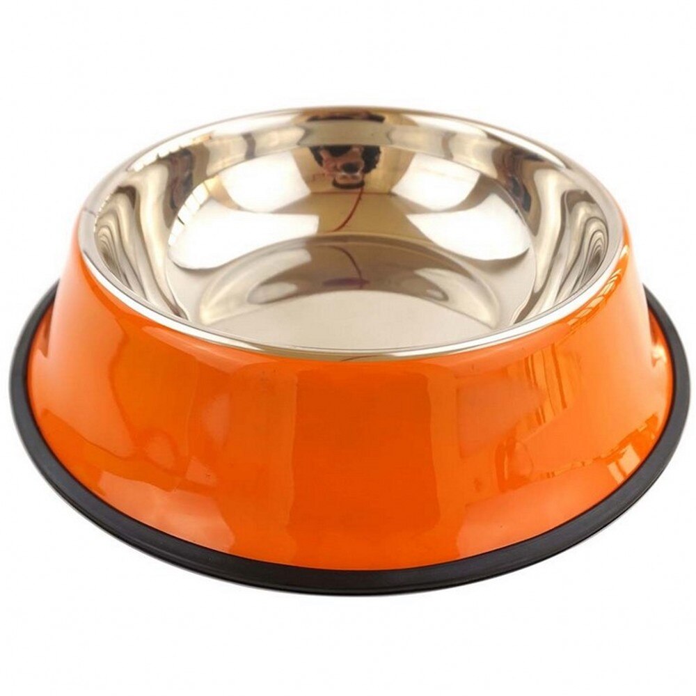 Bright and Shine Stainless Steel Dog Bowls