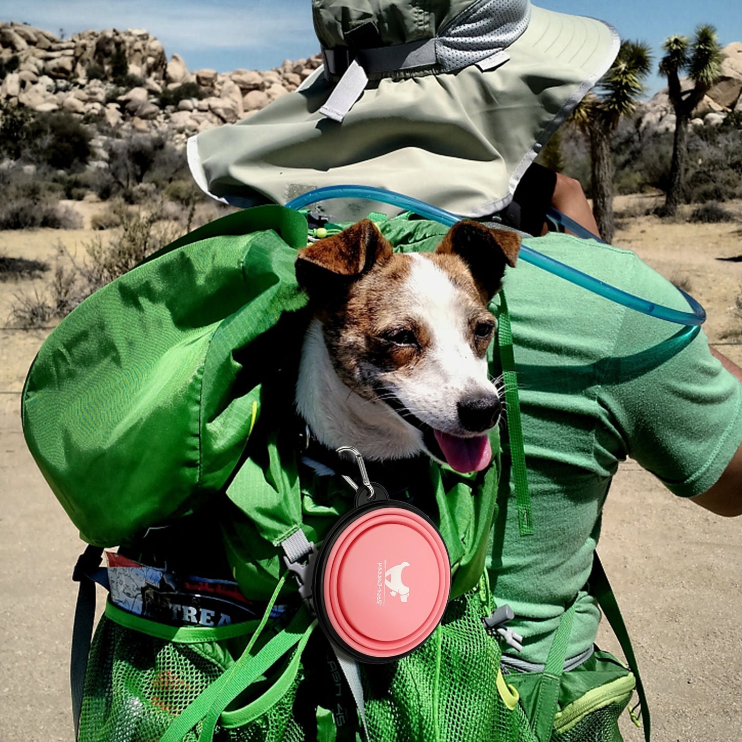 Collapsible Dog Bowls for Outdoor Travel