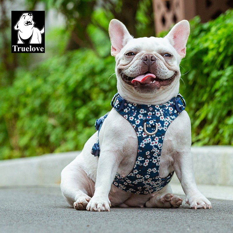 Truelove Flora Print Fashion Dog Harness 100% Cotton and 3M Reflective TLH6283