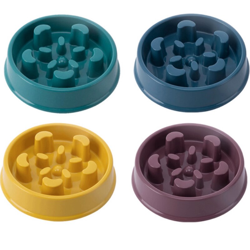 aMaze slow feeder dog bowl
