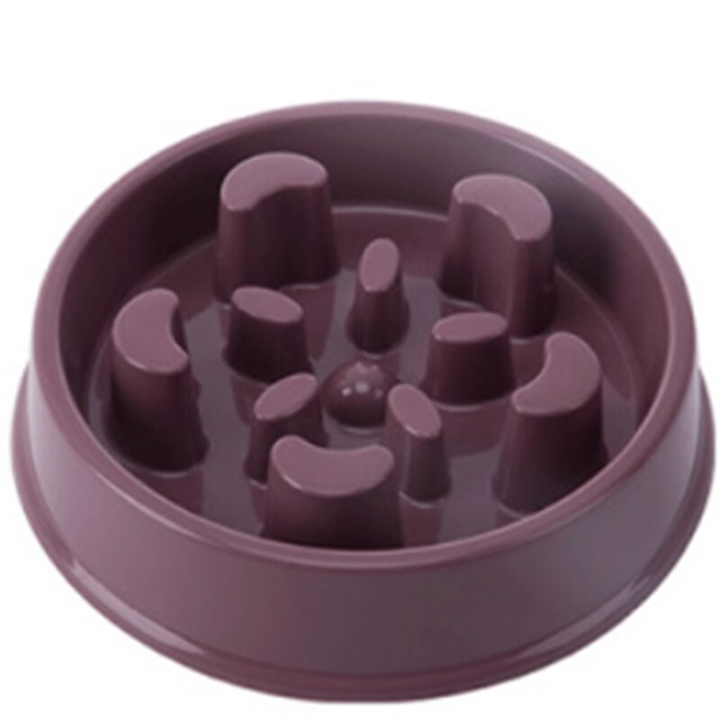 aMaze slow feeder dog bowl