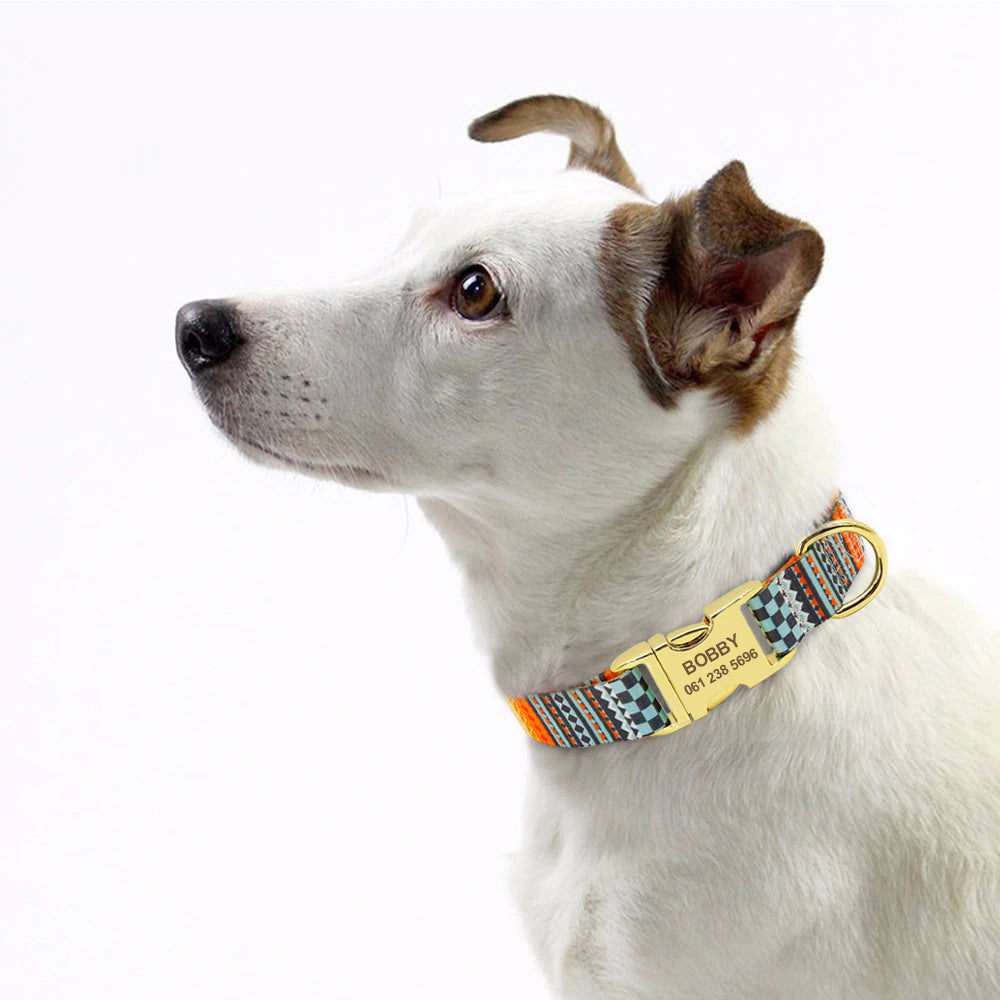 Fashion Dog Collar with free ID engraving