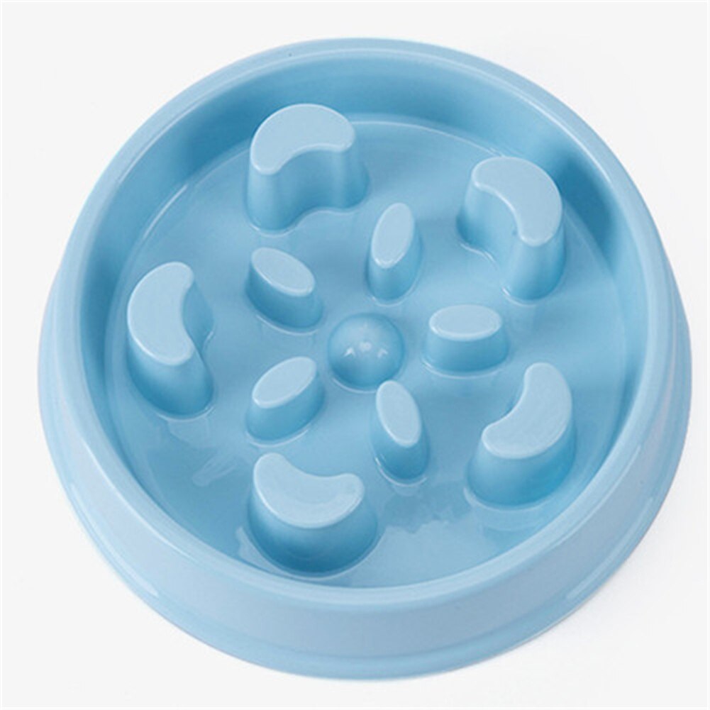 aMaze slow feeder dog bowl