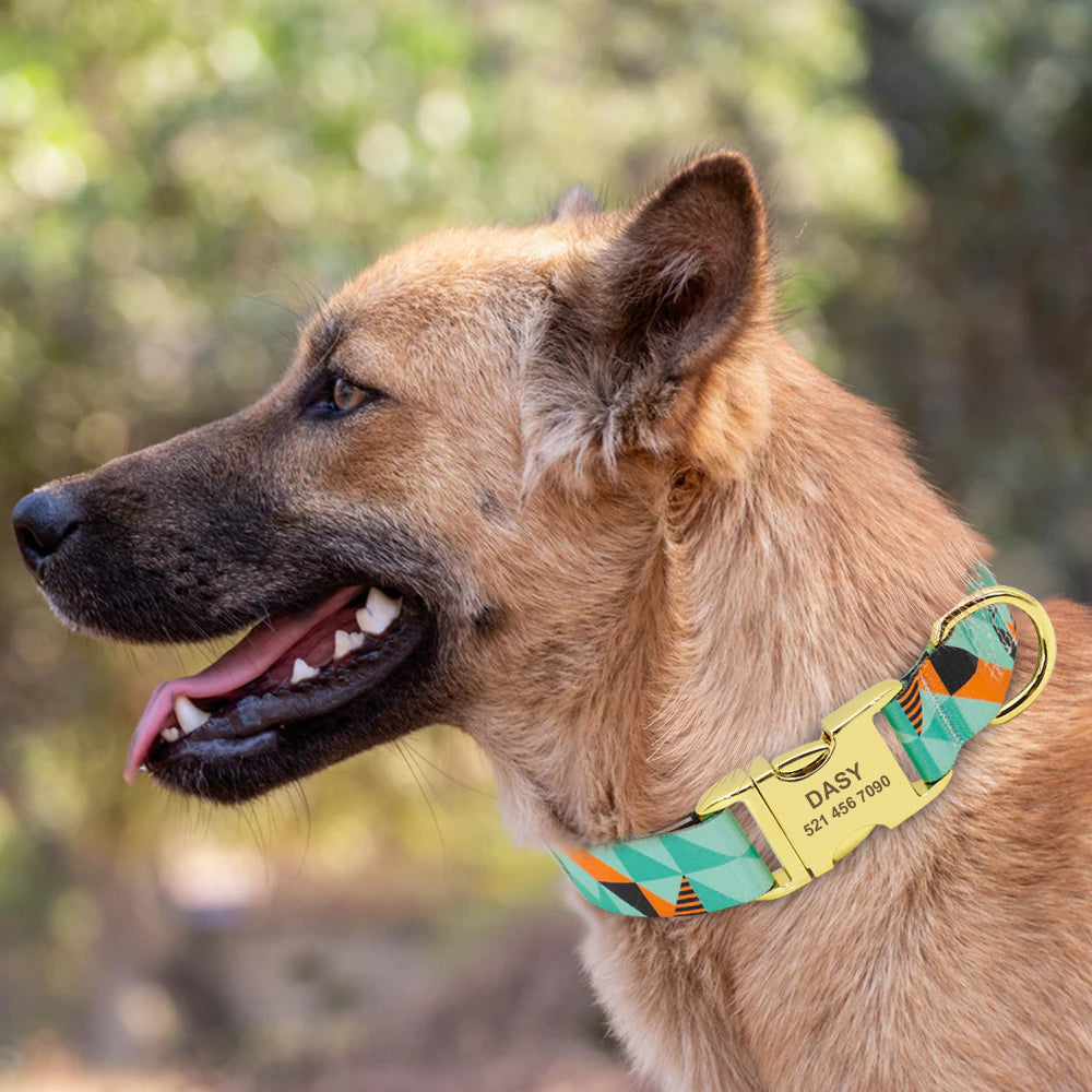 Fashion Dog Collar with free ID engraving