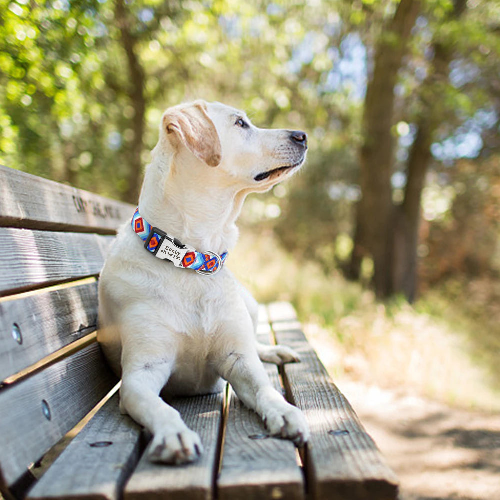 Fashion Dog Collar with free ID engraving