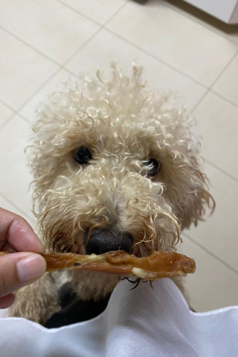 Paw Favor Chicken Jerky Snack Paw Favor Paw Favor Services Dog Treats.