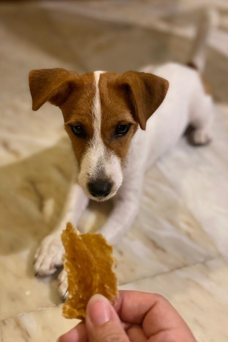 Paw Favor Chicken Jerky Snack Paw Favor Paw Favor Services Dog Treats.
