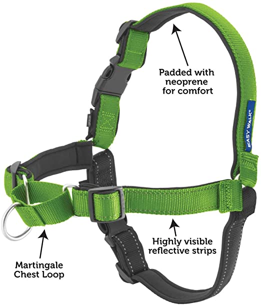 PetSafe Deluxe Easy Walk® and Petite Easy Walk® Harness