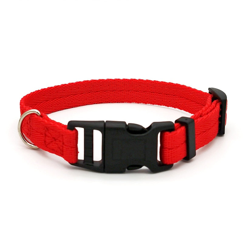 Pet Dog Collar