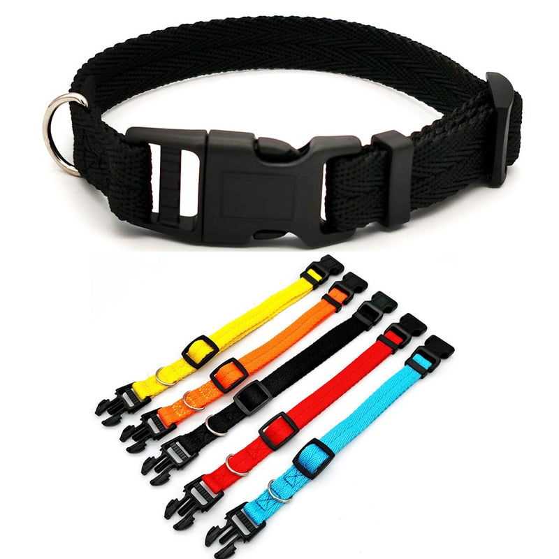 Pet Dog Collar