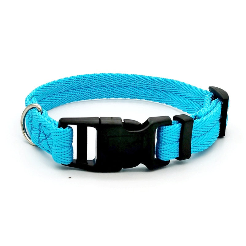 Pet Dog Collar