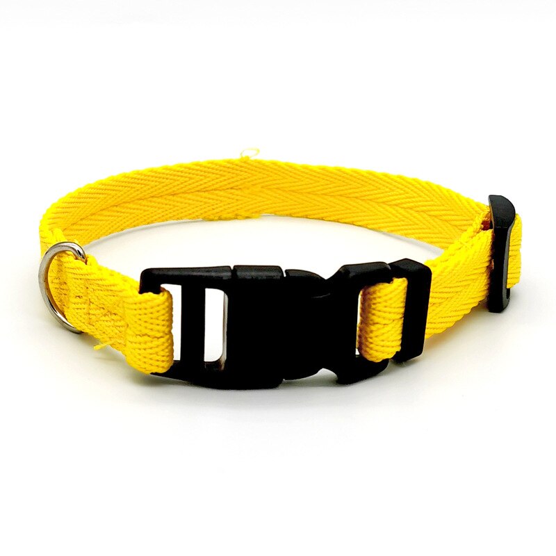 Pet Dog Collar