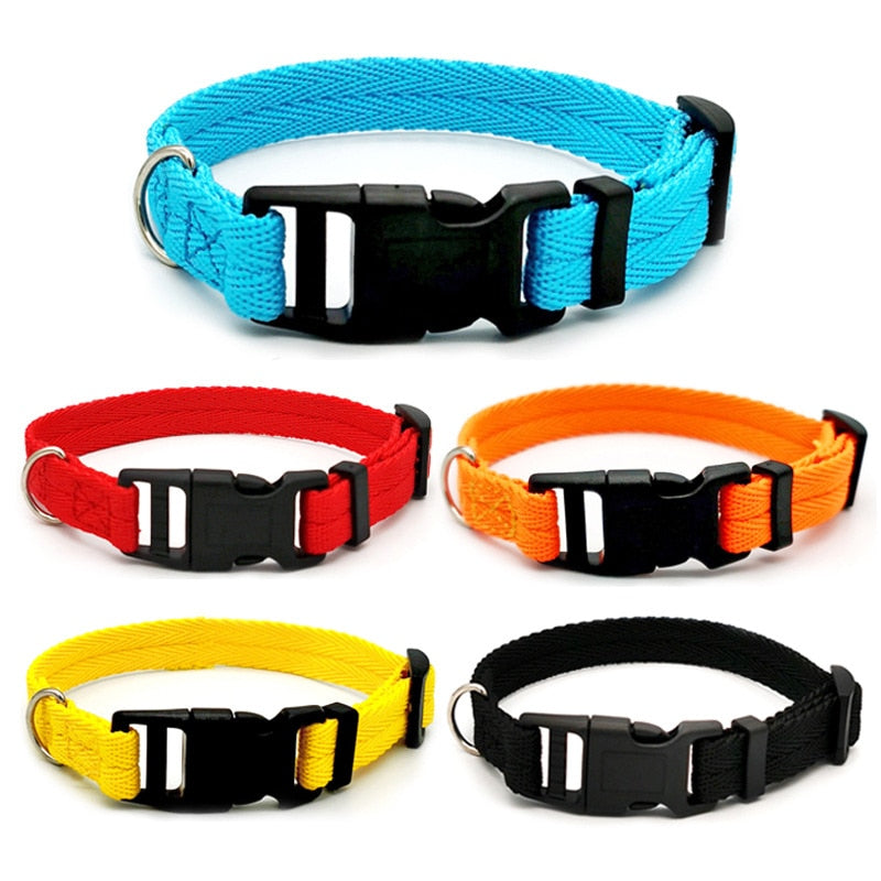 Pet Dog Collar