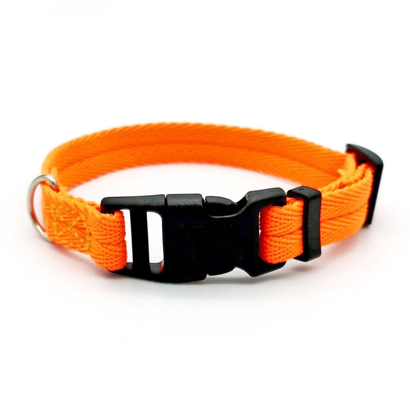 Pet Dog Collar