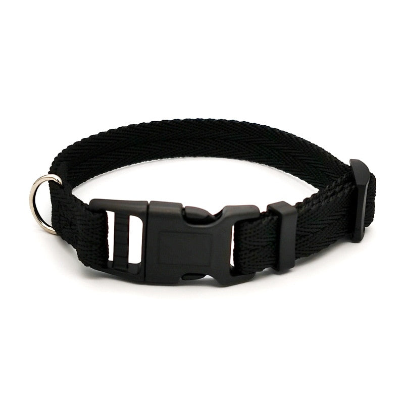 Pet Dog Collar