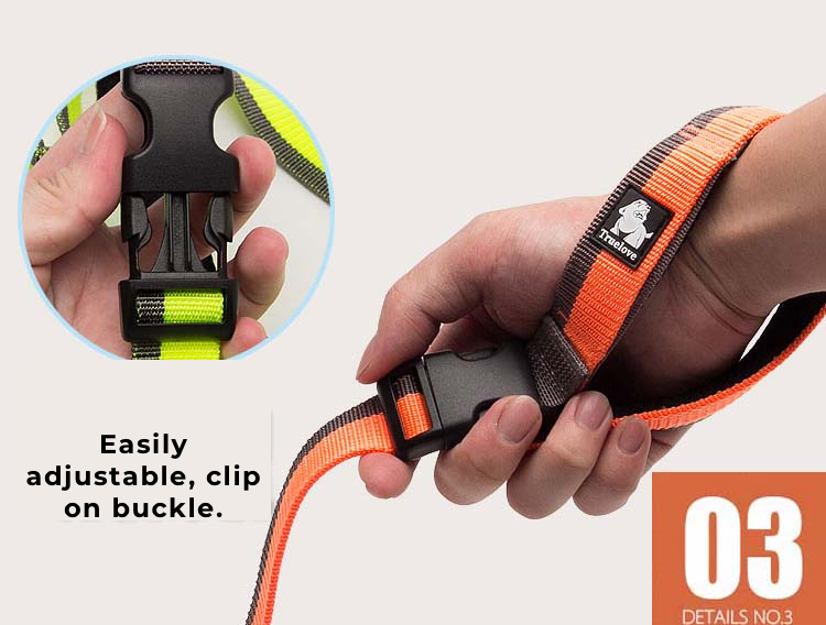 Truelove Dog Running Bungee Leash (Hand-held & Waist-worn)