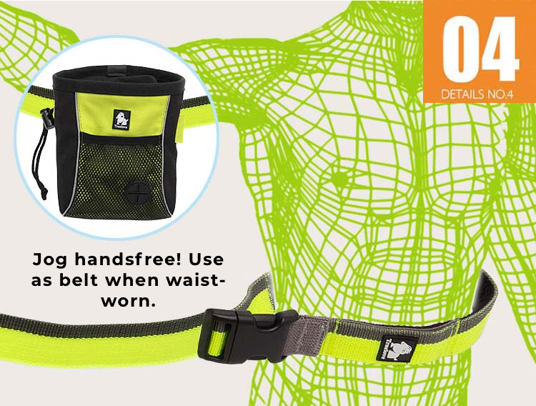 Truelove Dog Running Bungee Leash (Hand-held & Waist-worn)