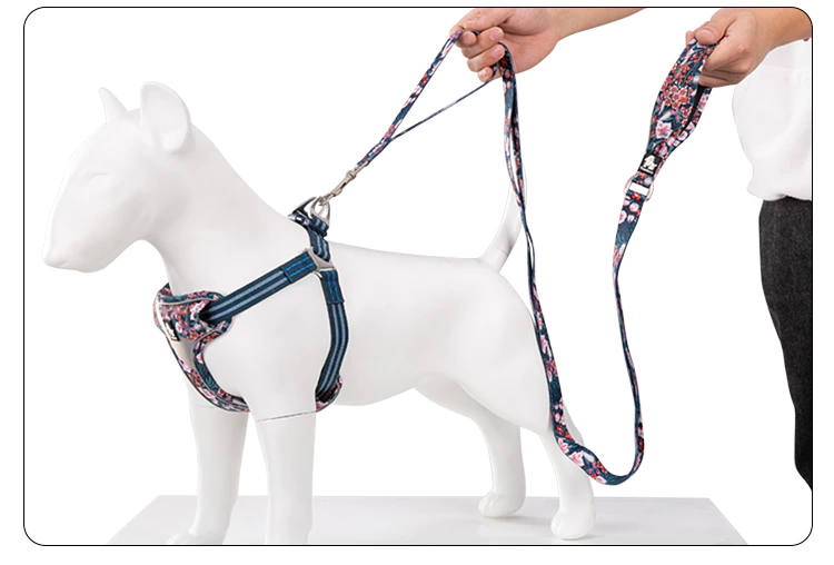 Truelove Floral Dog Leash (Multi-Loop design)