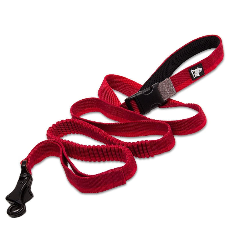 Truelove Dog Running Bungee Leash (Hand-held & Waist-worn)