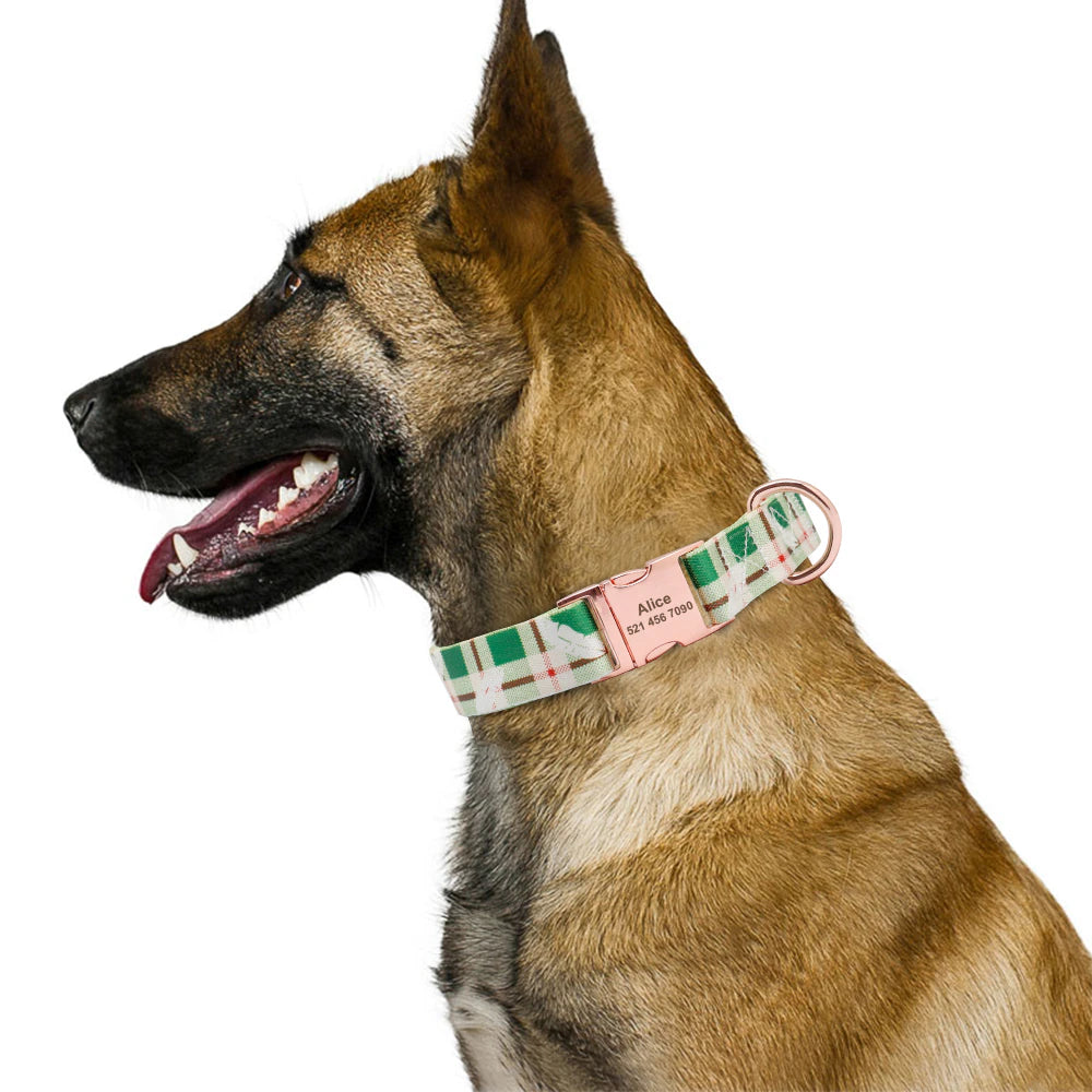 Fashion Dog Collar with free ID engraving