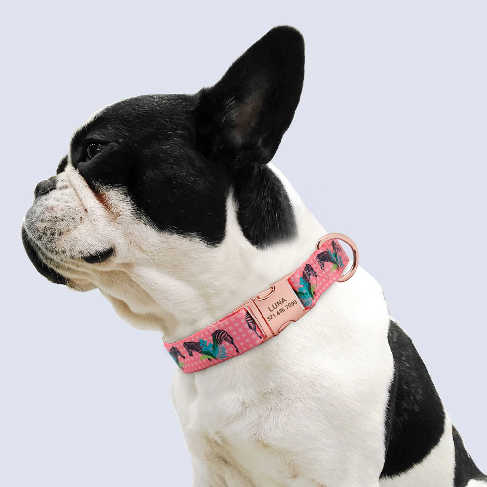 Fashion Dog Collar with free ID engraving