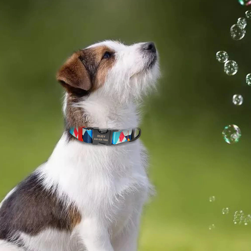 Fashion Dog Collar with free ID engraving