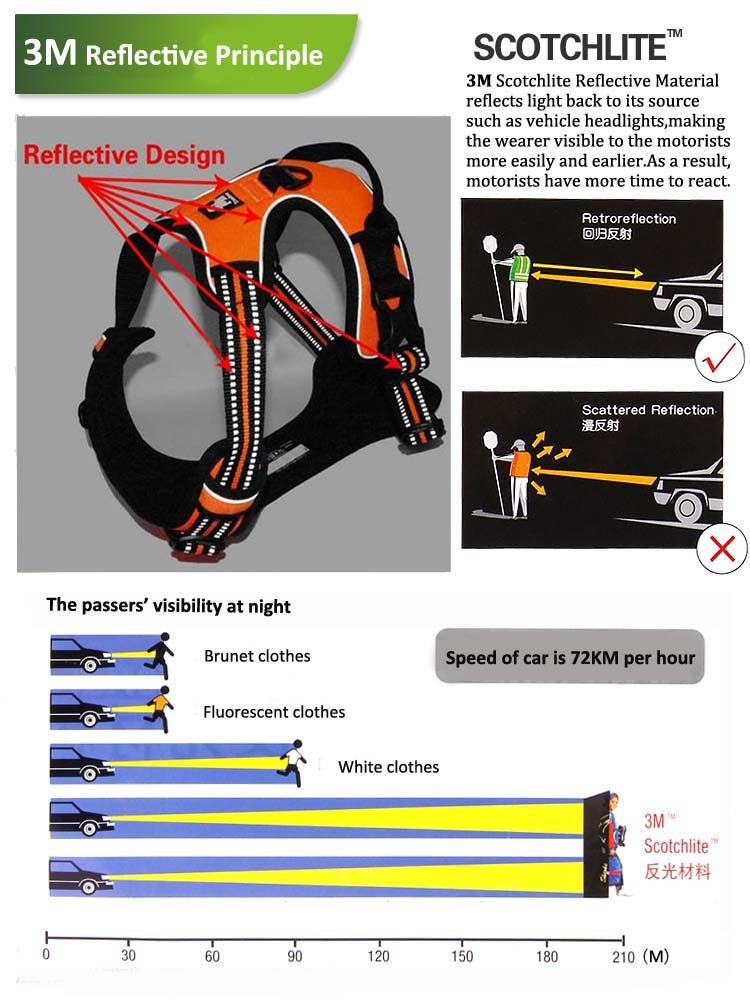 Truelove Front Range Reflective Nylon Harness