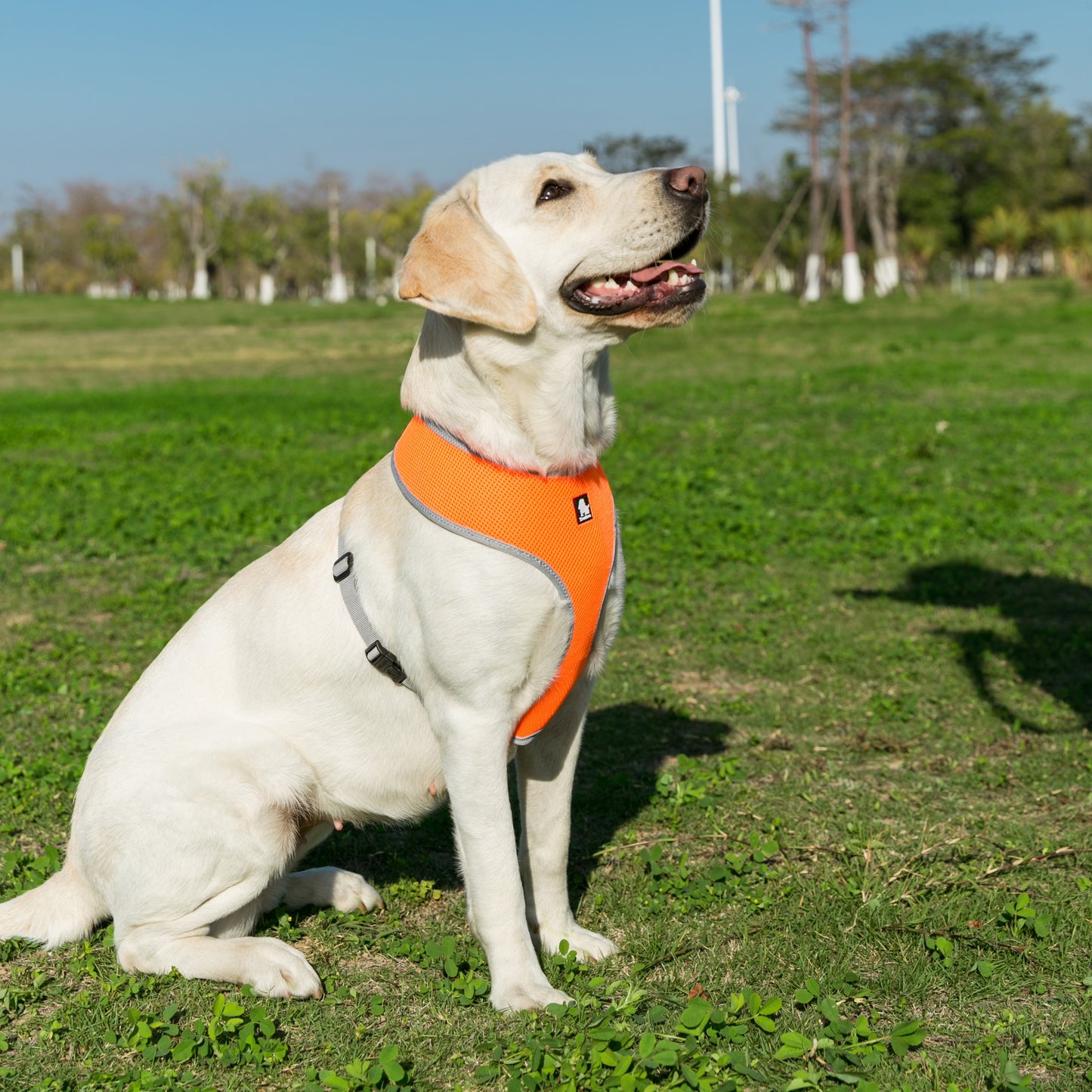 Truelove Puppy Dog Harness