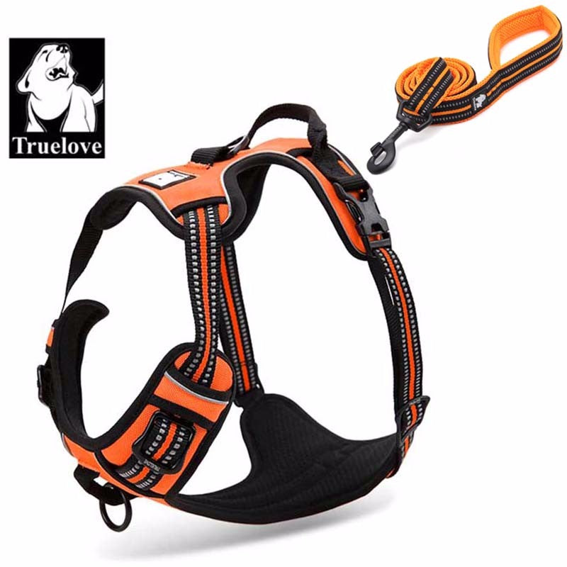 Truelove Front Range Reflective Nylon Harness