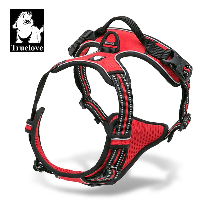 Truelove Front Range Reflective Nylon Harness