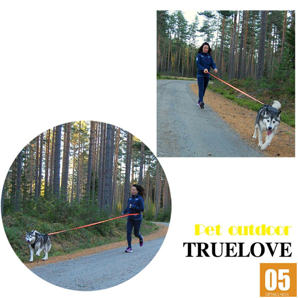 Truelove Dog Running Bungee Leash (Hand-held & Waist-worn)