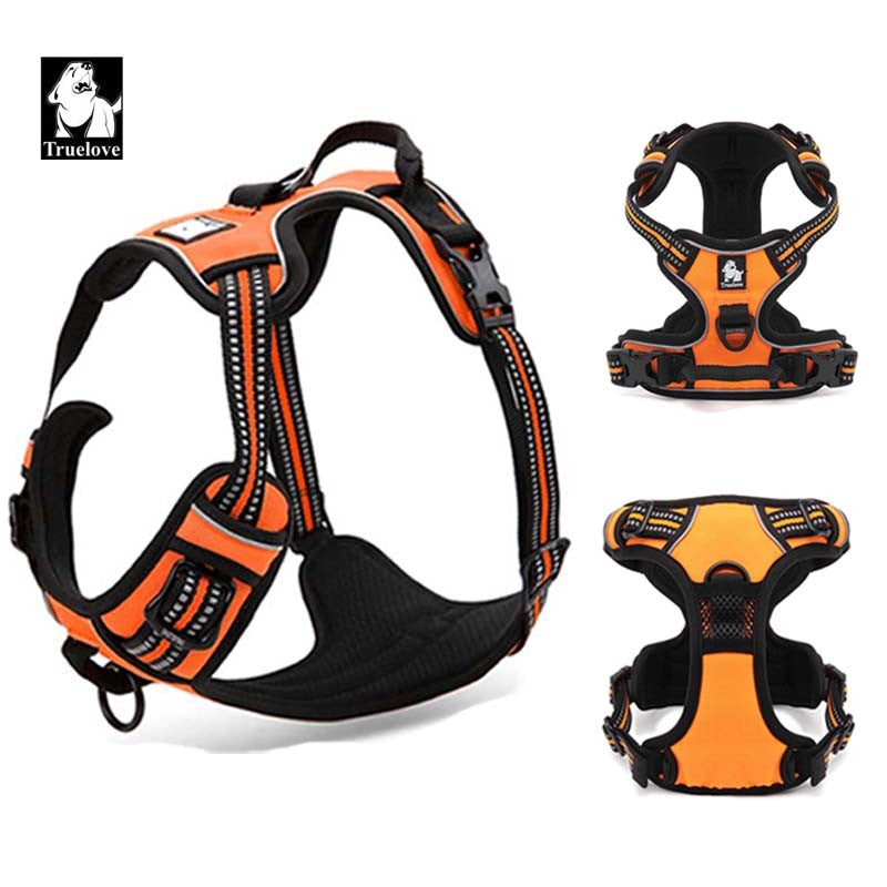 Truelove Front Range Reflective Nylon Harness