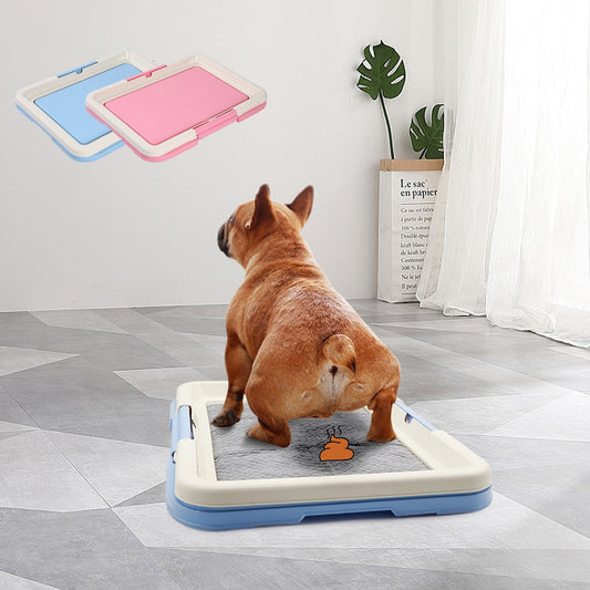 Dog Toilet Training Tray