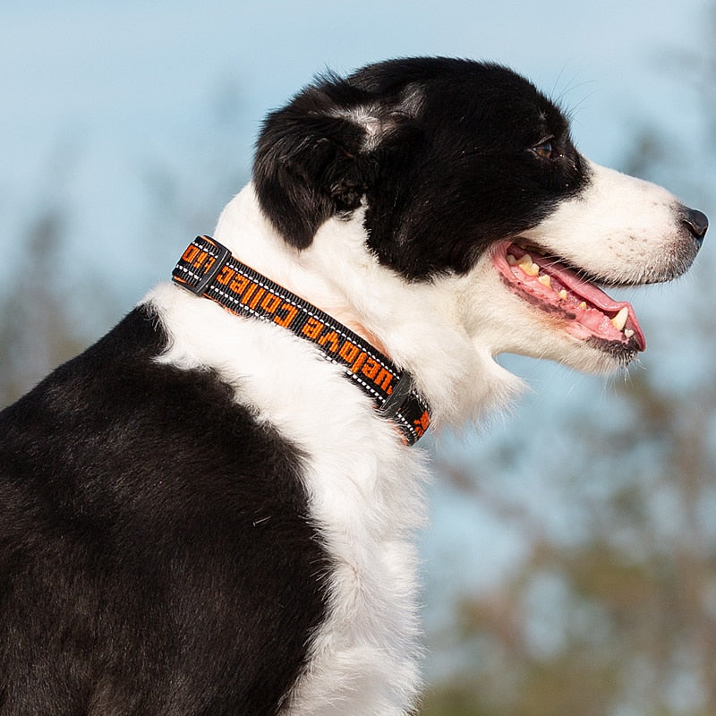 Truelove Soft Neoprene Reflective Dog Collar