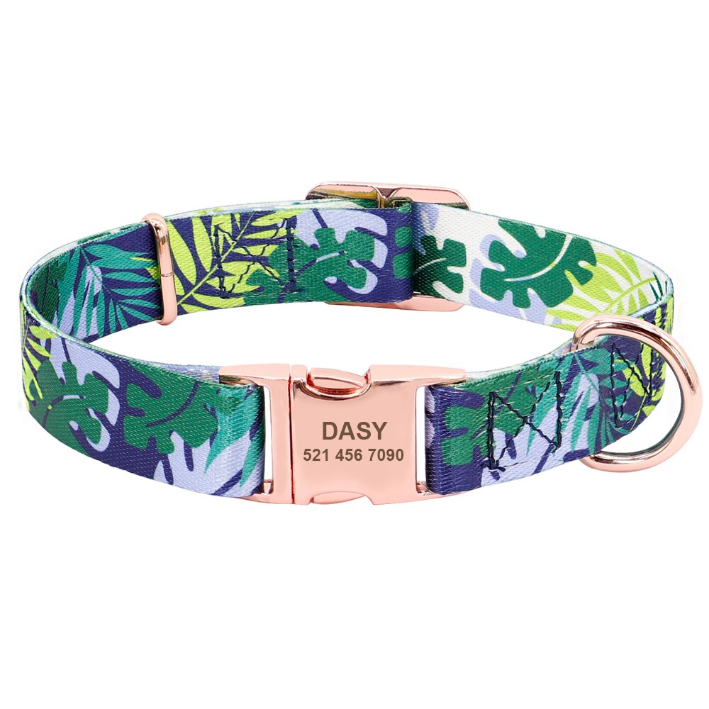 Fashion Dog Collar with free ID engraving