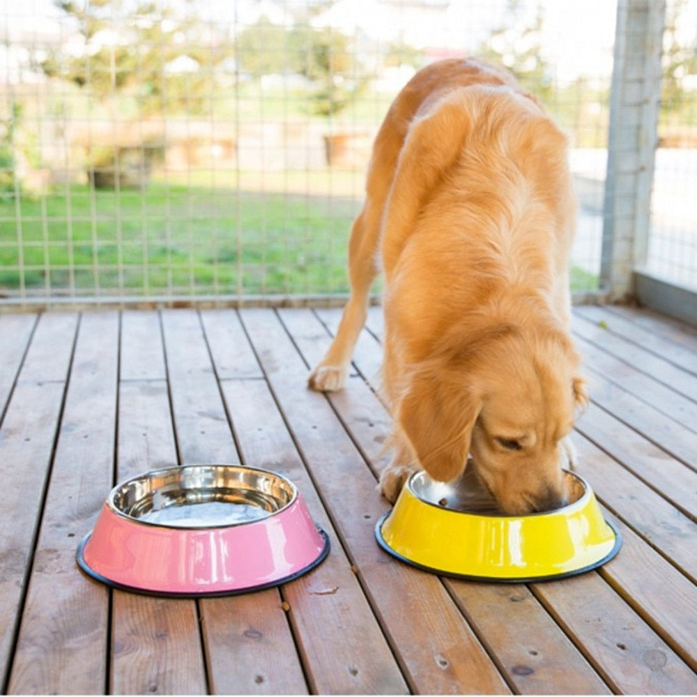 Bright and Shine Stainless Steel Dog Bowls