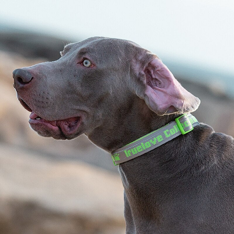 Truelove Soft Neoprene Reflective Dog Collar