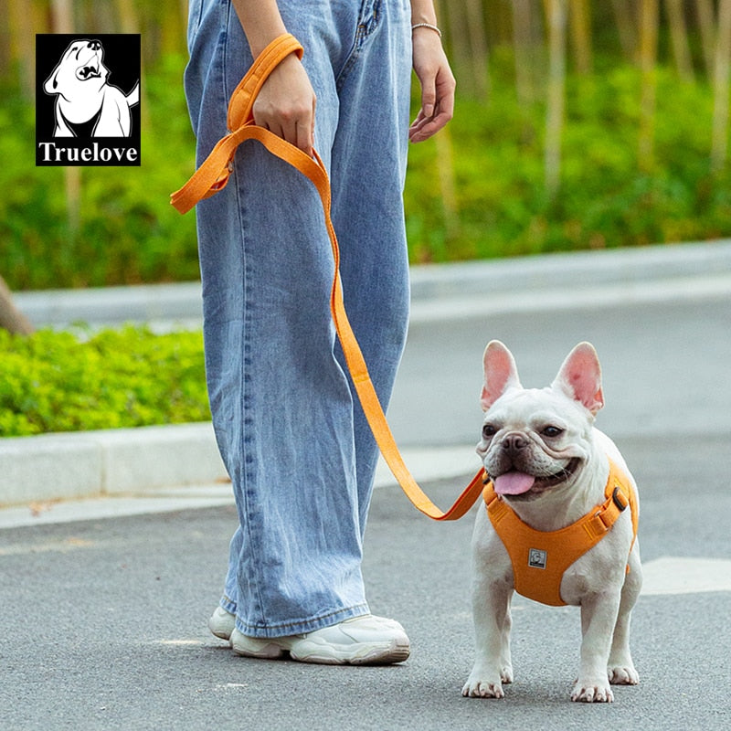 Truelove Eco-Friendly Multi-Loop Multi Grip Dog Leash